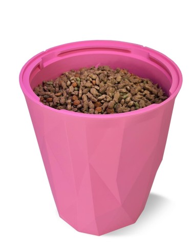 Open Crocketbox APIE filled with dry kibble, showing freshness seal