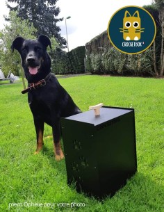 Crocketbox 4 pattes 10Kg 2