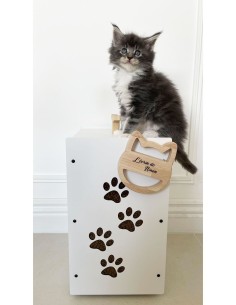 Crocketbox pour rangement croquettes chat 2