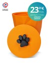 Crocketbox APIE orange